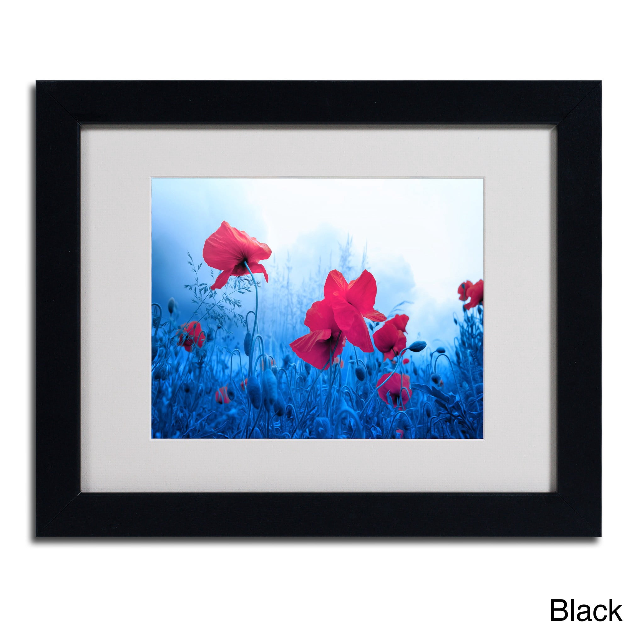 Trademark Fine Art "Jam for Poppies" Canvas Art by Philippe Sainte-Laudy, Wood Frame