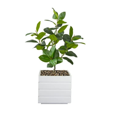 Real touch 60" fake Rubber tree in a fiberstone planter