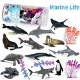 thumbnail image 4 of Qiopertar Clearance Free Shipping 12 Sets Of Colorful Simulation Poultry And Ocean Model Suit Model Ornaments under $5 Saving Up To 90% Off, 4 of 7