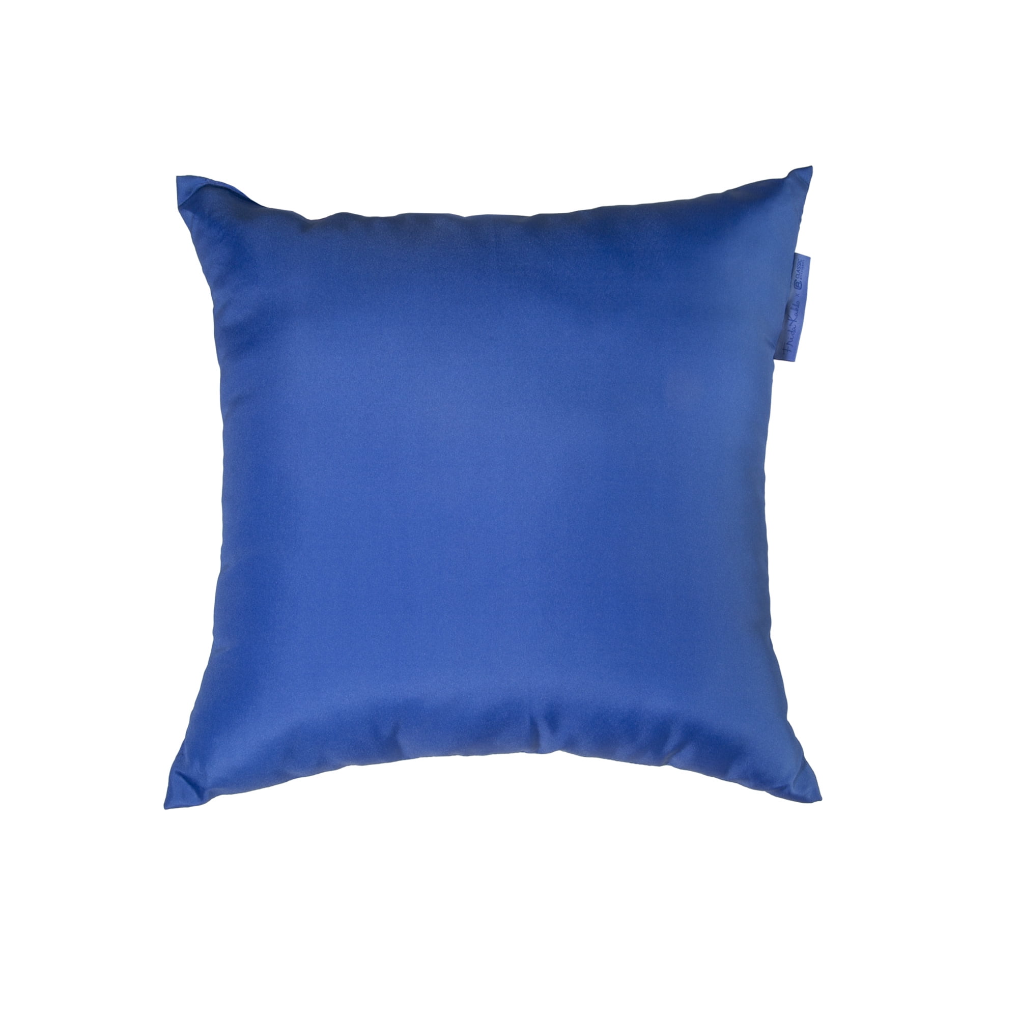 ACCENT PILLOWS 2 PC - FRENCH