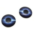 thumbnail image 6 of Burst Of Light Glass eyes, 6 of 9