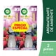 thumbnail image 2 of Aromatizante de ambiente, Air Wick®, Reed difuser 2pk Frutos Rojos, 2 of 4