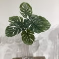 thumbnail image 2 of Monstera Stem, 2 of 3