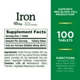 Nature’s Bounty Iron Supplement, 65mg, 100 Tablets
