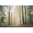 thumbnail image 2 of Allen, Kimberly 24x17 Gold Ornate Wood Framed with Double Matting Museum Art Print Titled - Morning Walk, 2 of 4