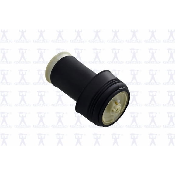 Focus Auto Parts Air Spring