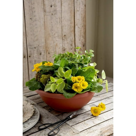 14+ Outdoor Plant Bowl