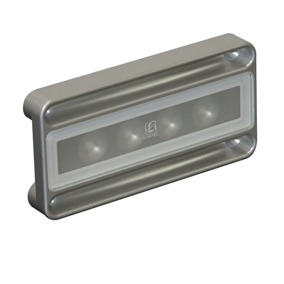 5" Gray and White Nevis Low Profile Engine Room Light