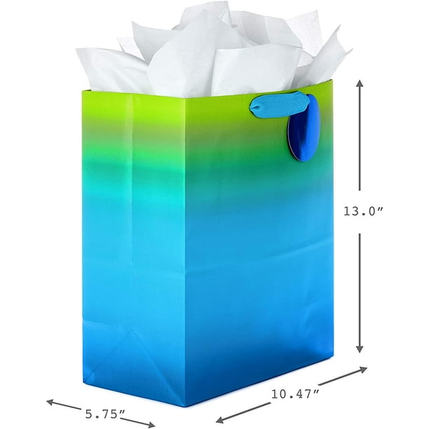 Large clearance present bags