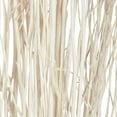 thumbnail image 5 of 57" Dried Plant Natural Foliage Pigeon pea Bouquet, by DecMode (2 Count), 5 of 8