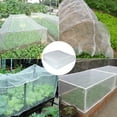 thumbnail image 4 of Plant Covers Anti-UV Insect Bugs Protection Garden Netting Summer Plant Netting Prevent Bird Plants Mesh;Plant Covers Anti-UV Insect Protection Garden Plant Prevent Bird Mesh, 4 of 8