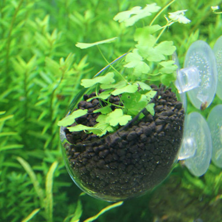 Dahszhi 2Pcs Plastic Aquarium Shrimp Fish Tank Moss Ball Holder Plant  Shaping Filter(G6.71)