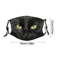 thumbnail image 2 of Funny Animal Face Reusable Washable with Tiger Cat Dog Monkey Pig Designs for Kids & Adults, 2 of 4