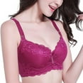 thumbnail image 5 of Women Sexy Lace Push-Up Bra Plus Size Embroidery Floral Bras Padded Lingerie Bralette Wireless Bra, 5 of 8