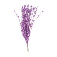 thumbnail image 2 of s de bayas artificiales Bayas Flor de simución Flor Artesanía a prueba de agua Plástico para decoración del hogar Banquete de Púrpura Sunnimix tallo de baya feke, 2 of 8