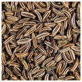 thumbnail image 3 of Everwilde Farms - 1 lb Caraway Herb Seeds - Gold Vault Bulk Seed Packet, 3 of 3
