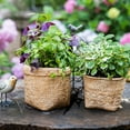 thumbnail image 3 of Straw Basket Style Concrete Planter, 3 of 10
