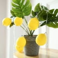 thumbnail image 4 of Led Battery Lights String Room Decoration Lights Lemon Decorative Lights Simulation Lemon String Lights Fruit Lights 10 Lights,1Pc Light String Clearance, 4 of 7