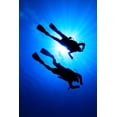 thumbnail image 2 of Scuba Diving Wall Mural by Wallmonkeys Peel and Stick Graphic (24 in H x 16 in W) WM125292, 2 of 4