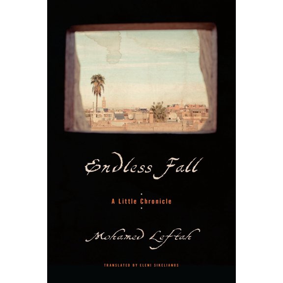 Pre-Owned Endless Fall : A Little Chronicle (Paperback)