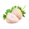 thumbnail image 6 of 100 Seeds WHITE SOUL STRAWBERRY Fragaria Vesca Fruit Flower Berry Seeds, 6 of 11