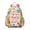 Cute Dinosaur Pattern-2, variant on Cute Dinosaur Pattern Backpack for School,Cute School Bag,Schoolbag with Adjustable Shoulder Straps & Padded Back,13.4"x11"x4.7"