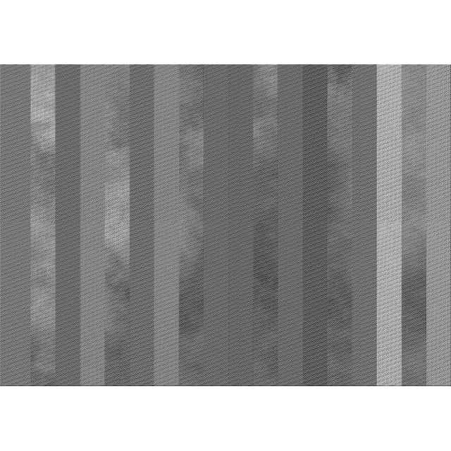 Ahgly Company Tapis d'Intérieur Lavables en Machine, Rectangle Transitionnel Gris Carbone, 8' x 12'