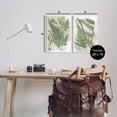 thumbnail image 3 of Stupell Woodland Fern Botanical Latin Study Botanical & Floral Painting Wall Plaque Unframed Art Print Wall Art, Set of 2, 3 of 7