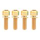thumbnail image 1 of RISK 4PCS M6 × 18 / 20mm Tornillos de titanio Ti Tornillos para disco MTB, 1 of 7