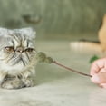 thumbnail image 2 of 5pcs Catnip Lollipops Bocadillos comestibles Cat Sticks Natural Catnip Sticks Cat golosinas (estilo rancom), 2 of 7