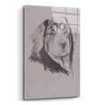 thumbnail image 2 of Epic Art 'Tibetan Mastiff' by Barbara Keith, Acrylic Glass Wall Art, 24"x36", 2 of 8