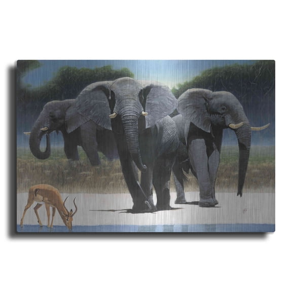 Luxe Metal Art 'The Approach' by Durwood Coffey, Metal Wall Art, 16"x12"