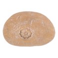 thumbnail image 3 of Marcador de tumba para perro letras DIY piedra conmemorativa para mascotas resina duradera exquisita para jardín Anggrek Otros, 3 of 7