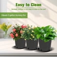 thumbnail image 6 of HOSTIC Premium Black Plastic Nursery Plant Container Garden Planter Pots, 6 of 7