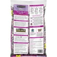thumbnail image 3 of Pennington Ultra Fruit & Nut Blend, Wild Bird Seed and Feed, 2.5 lb. Bag, 3 of 11
