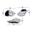 thumbnail image 4 of 7", 7", 5"W Silver Ceramic Shell Shell Sculpture, by DecMode (3 Count), 4 of 21