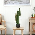 thumbnail image 2 of Nearly Natural 2.5' Plastic Cactus Artificial Plant, Green, 2 of 3