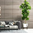6ft Artificial Fiddle Leaf Fig Tree (72in) with Plastic Nursery Pot