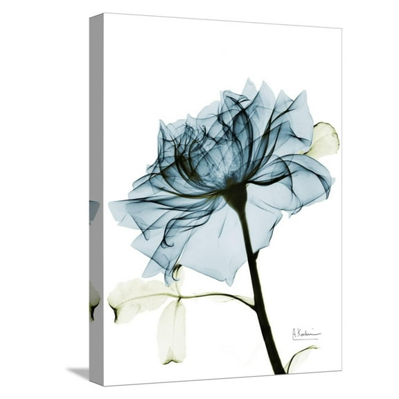 Art.com Steal Rose 2 Stretched Canvas Print Wall Art by Albert Koetsier, 12" x 16"