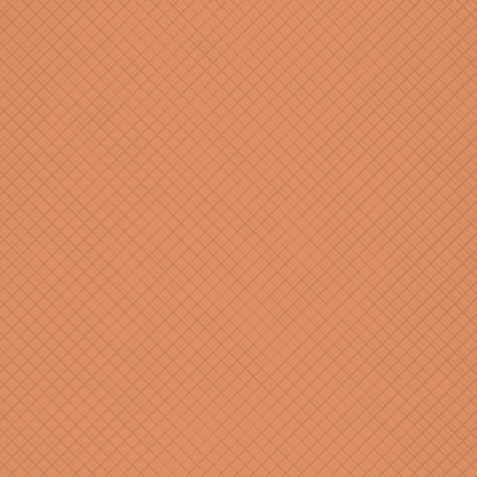 340 - Skin Color