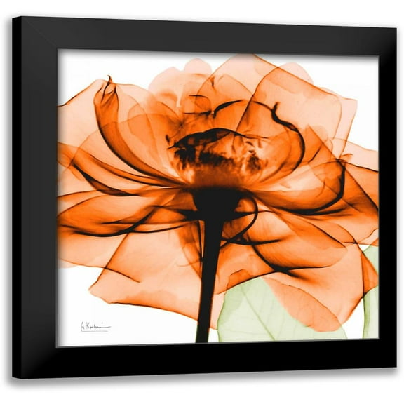 Koetsier, Albert 12x12 Black Modern Framed Museum Art Print Titled - Orange Rose