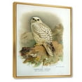 thumbnail image 3 of Designart 'Ancient Bird Life VII' Traditional Framed Canvas Wall Art Print, 3 of 5