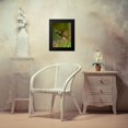 thumbnail image 4 of Fitzharris, Tim 12x14 Black Modern Framed Museum Art Print Titled - Rufous Tailed Hummingbird, 4 of 5