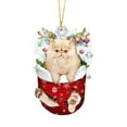 thumbnail image 2 of Holloyiver Cat Ornaments for Christmas Tree, Cute Cat Picture Decorations,Pet Memorial Gifts for Christmas,Funny Christmas Tree Ornaments for Indoor Home/Car/Farmhouse, 2 of 9