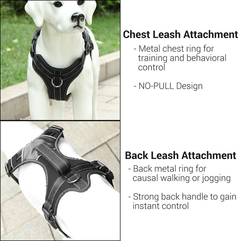 Leather no shop pull dog harness