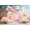 PON10360, variant on Mehofond Photography Backdrop Balloon Kids Birthday Party Gold Star Colorful Cloud Background Cake Smash r Photocall