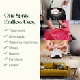thumbnail image 5 of Plant Therapy Home Deodorizing Room Spray 4 oz Quick, On-The-Go Freshness, Safe & Gentle for Everyday Use, Free from Harsh Chemicals & Synthetic Fragrances, 5 of 8