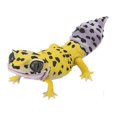 thumbnail image 1 of Modelo de reptil Bandai Genuine Gashapon Eublepharis macularius 10 cm, 1 of 2