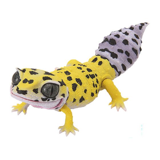 Modelo de reptil Bandai Genuine Gashapon Eublepharis macularius 10 cm