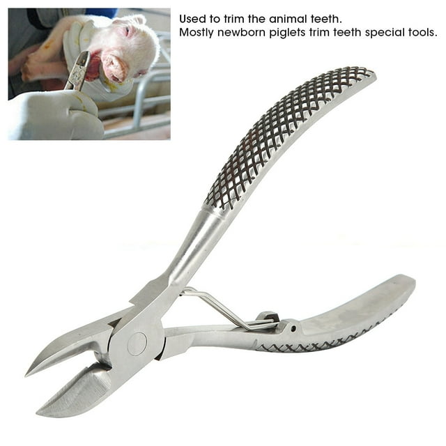 Piglets Stainless Steel Ball Spring Tooth Scissors Teeth Cut For Piglets Livestock Breeding Equipment
